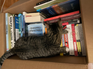Tabby cat lays on top of a cardboard box filled with books