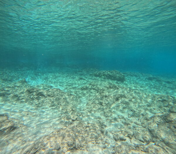 horizon underwater of shallow water and tiny thin fishes can be seen if you click on the thumbnail and open up the video in a new browser